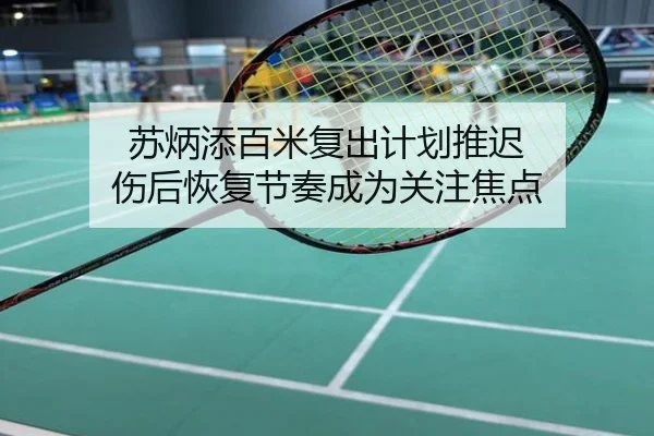 苏炳添百米复出计划推迟 伤后恢复节奏成为关注焦点